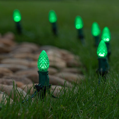 Green C7 OptiCore LED Christmas pathway lights with PathPRO stakes in six colors