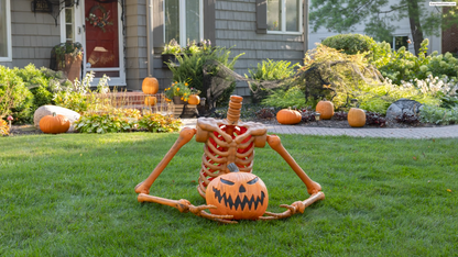 Giant Pumpkin Jack Ground Breaker