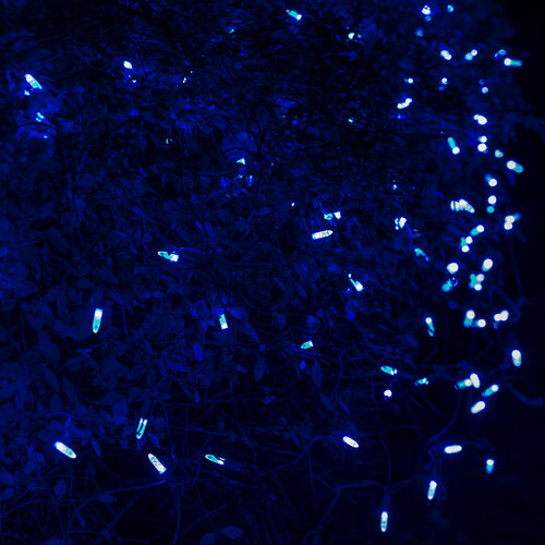 Blue 100 LED M5 Christmas net lights on green wire