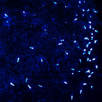 Blue 100 LED M5 Christmas net lights on green wire