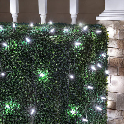 cool White 100 LED M5 Christmas net lights on green wire