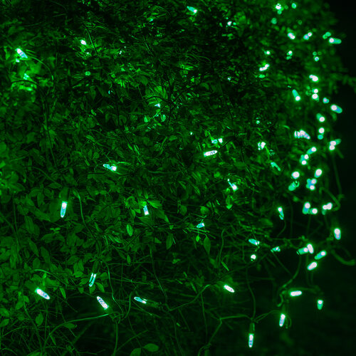 Green 100 LED M5 Christmas net lights on green wire