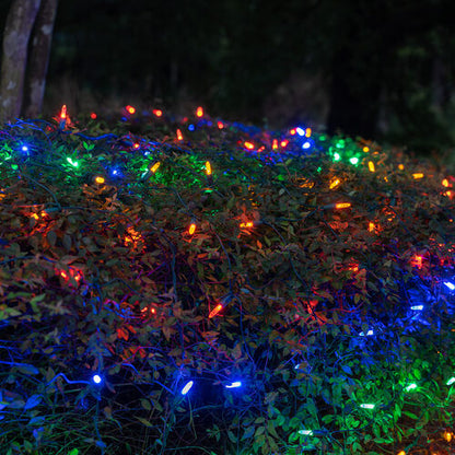 Multicolor 100 LED M5 Christmas net lights on green wire
