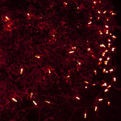 Red 100 LED M5 Christmas net lights on green wire