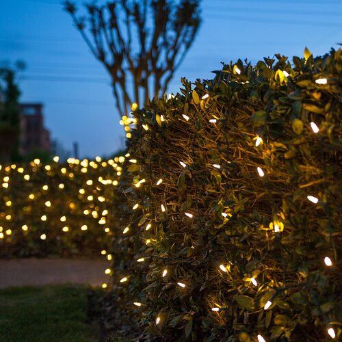 Warm White 100 LED M5 Christmas net lights on green wire
