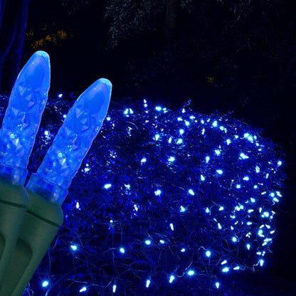 Blue 100 LED M5 Christmas net lights on green wire
