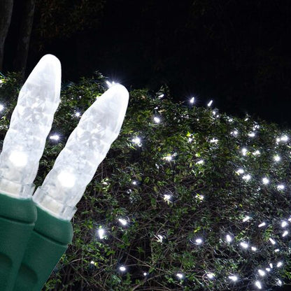 cool White 100 LED M5 Christmas net lights on green wire