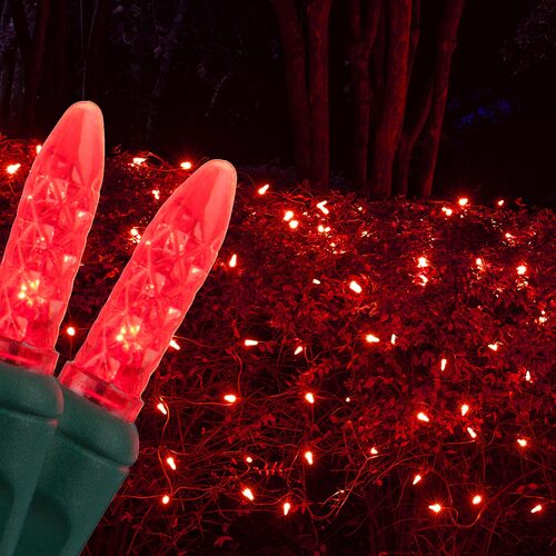 Red 100 LED M5 Christmas net lights on green wire