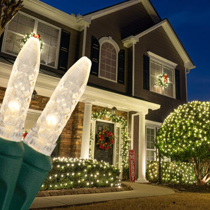 Warm White 100 LED M5 Christmas net lights on green wire
