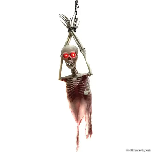 Hanging Chained Skeleton Torso Lighted