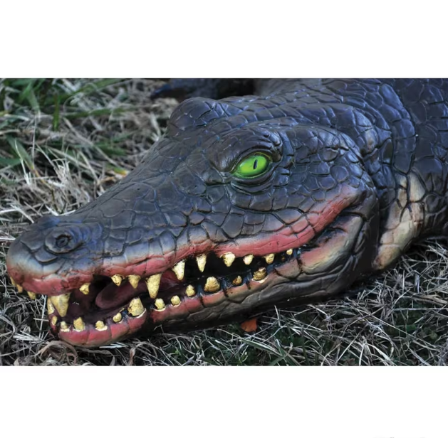 4 Ft swamp alligator Halloween prop