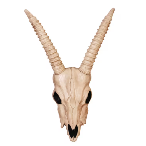 18" Gazelle Skeleton Skull Halloween decoration