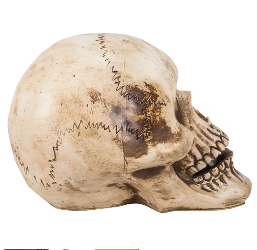 Blazing Scenes Skull Projector with Red Spider Web Projection