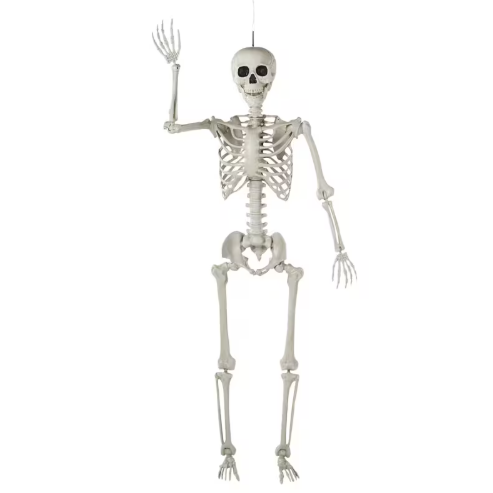 5 Ft Posable Skeleton halloween decoration prop