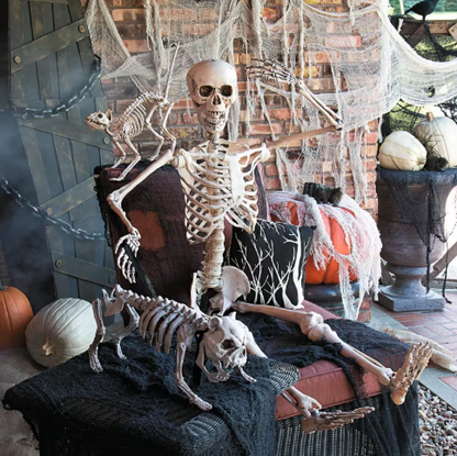 5 Ft Posable Skeleton halloween decoration prop