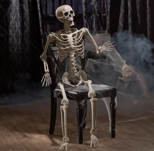 5 Ft Posable Skeleton halloween decoration prop