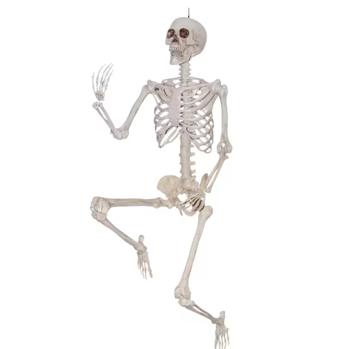 6.6 Ft Titan Skeleton Poseable halloween decoration prop