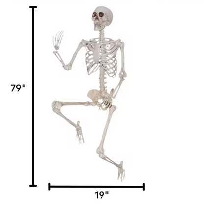 6.6 Ft Titan Skeleton Poseable halloween decoration prop