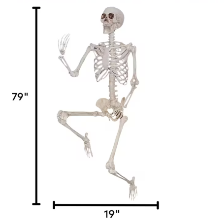 6.6 Ft Titan Skeleton Poseable halloween decoration prop