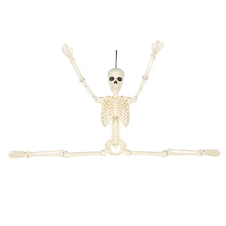 5 Ft. Hanging Multi Pose-N-Stay Life-Size Skeleton Halloween Decoration