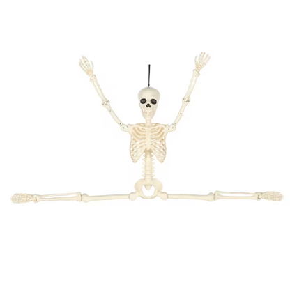 5 Ft. Hanging Multi Pose-N-Stay Life-Size Skeleton Halloween Decoration