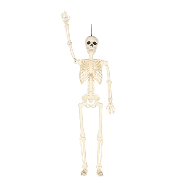 5 Ft. Hanging Multi Pose-N-Stay Life-Size Skeleton Halloween Decoration