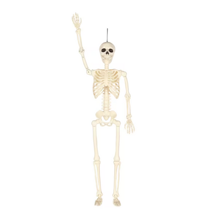 5 Ft. Hanging Multi Pose-N-Stay Life-Size Skeleton Halloween Decoration