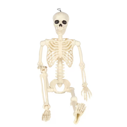 5 Ft. Hanging Multi Pose-N-Stay Life-Size Skeleton Halloween Decoration