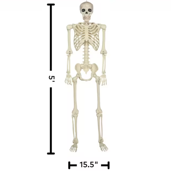 5 Ft. Hanging Multi Pose-N-Stay Life-Size Skeleton Halloween Decoration