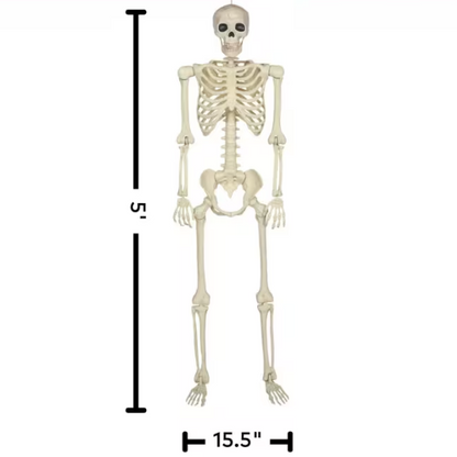 5 Ft. Hanging Multi Pose-N-Stay Life-Size Skeleton Halloween Decoration