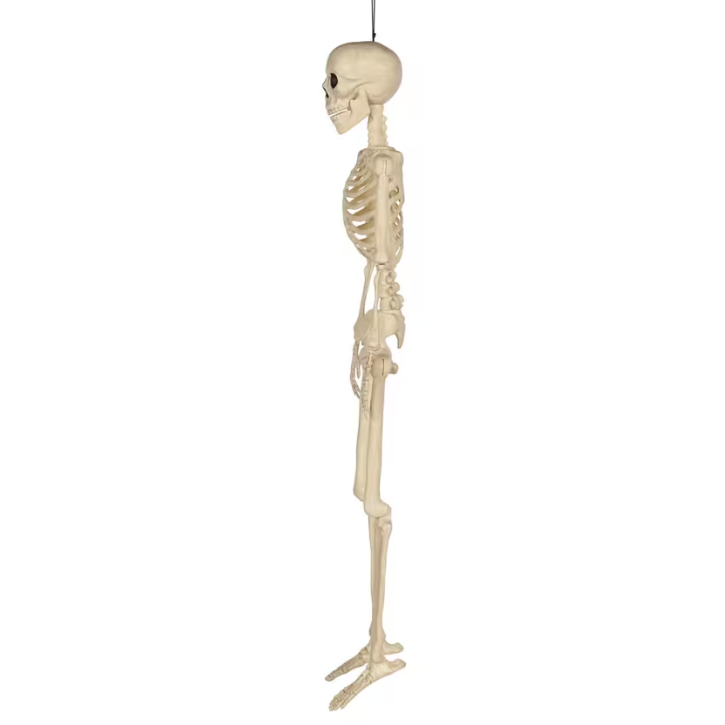 3 Ft. Hanging Multi Pose-N-Stay Life-Size Skeleton Halloween Decoration