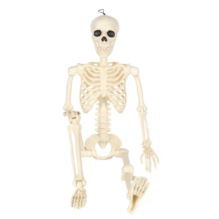 3 Ft. Hanging Multi Pose-N-Stay Life-Size Skeleton Halloween Decoration