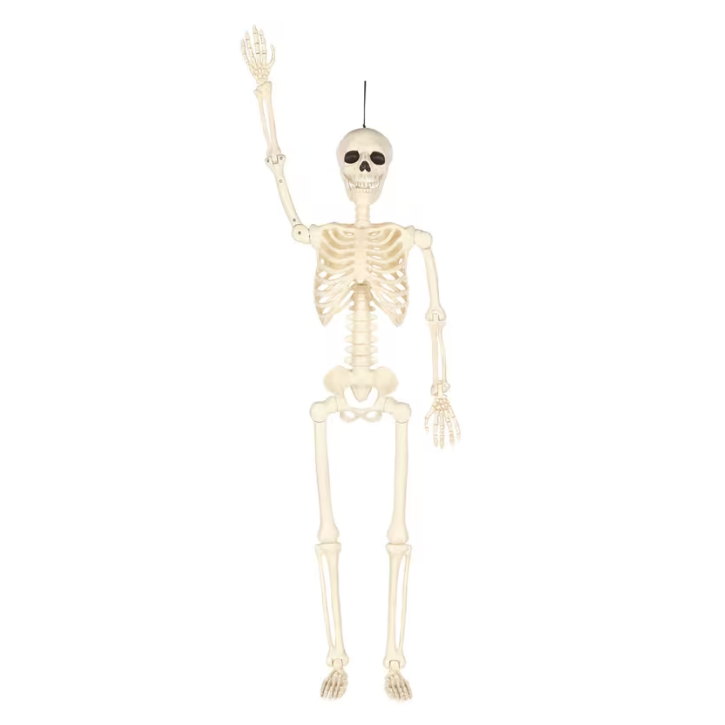 3 Ft. Hanging Multi Pose-N-Stay Life-Size Skeleton Halloween Decoration
