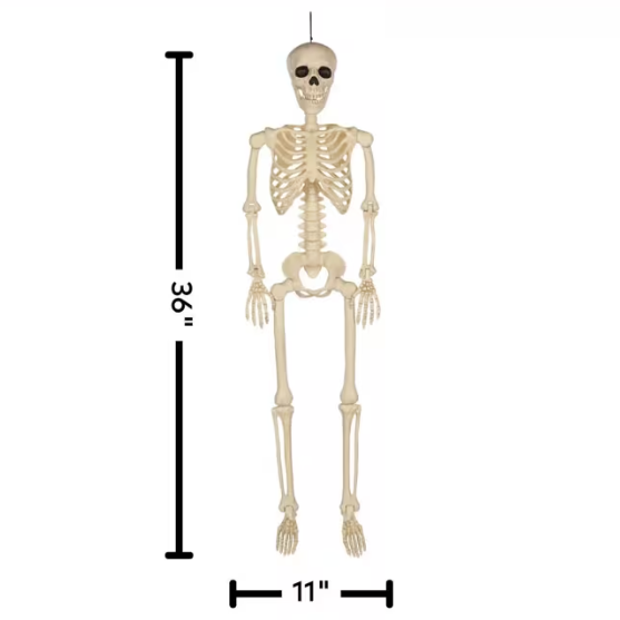 3 Ft. Hanging Multi Pose-N-Stay Life-Size Skeleton Halloween Decoration