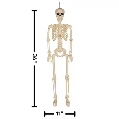 3 Ft. Hanging Multi Pose-N-Stay Life-Size Skeleton Halloween Decoration