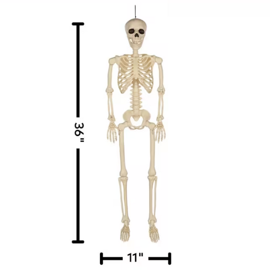 3 Ft. Hanging Multi Pose-N-Stay Life-Size Skeleton Halloween Decoration