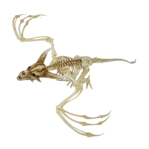 Giant 35" Hanging Dragon Pterosaur Dino Skeleton