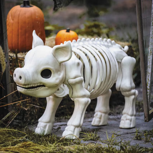 2 Ft Standing Skeleton Pig Halloween Decoration