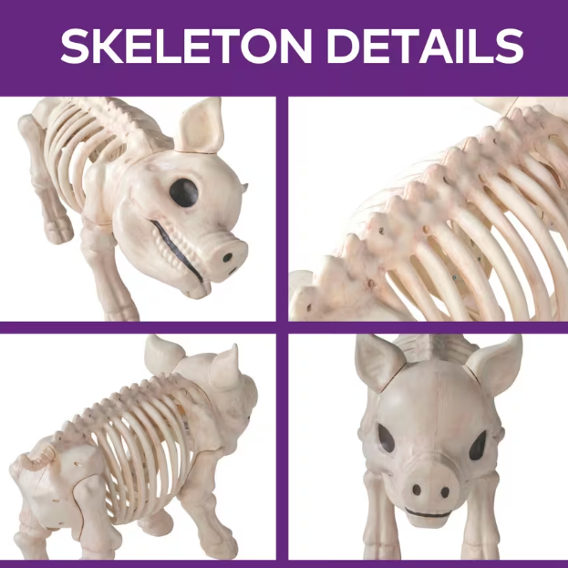2 Ft Standing Skeleton Pig Halloween Decoration