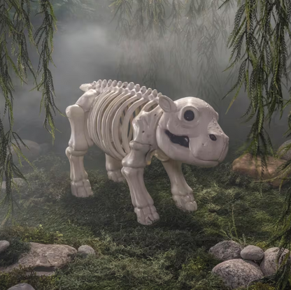 39" Standing Skeleton Baby Hippo Halloween Decoration