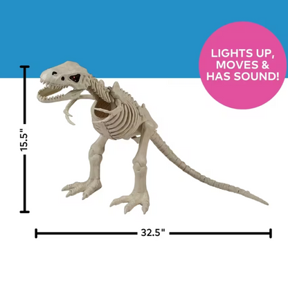 32" Animated Tyrannosaurus Rex Skeleton Halloween Decoration