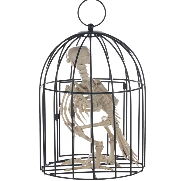 Skeleton Crow in Cage
