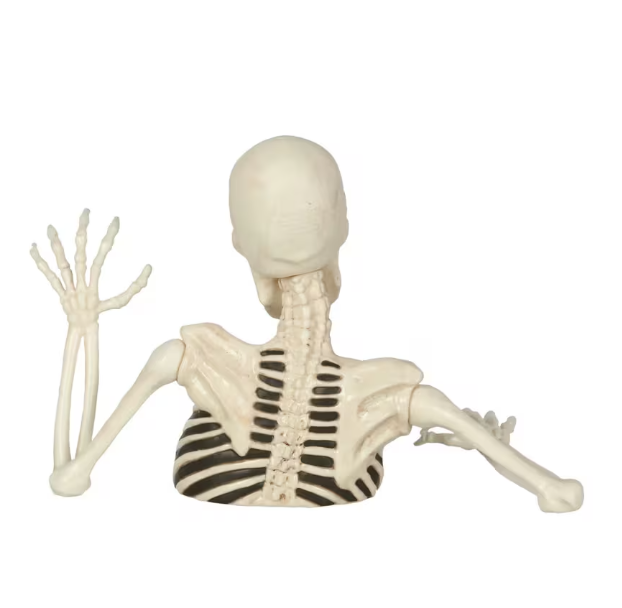 8" Black & White Groundbreaker Skeleton Halloween Decoration Home Decor