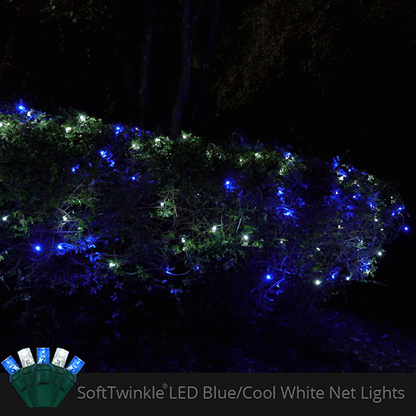 Blue and cool White 70 LED 5mm SoftTwinkle Christmas net lights on green wire