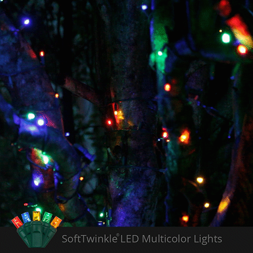 Wintergreen Multicolor SoftTwinkle LED Christmas lights demonstrating independently pulsing red, green, blue and yellow bulbs