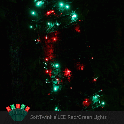 Red and green SoftTwinkle LED Christmas lights showing a gentle shimmering twinkle effect