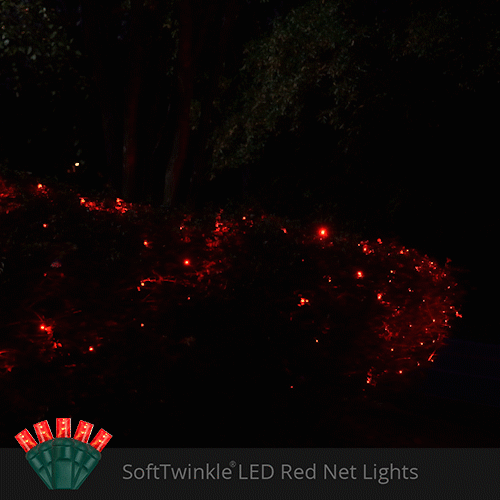 Red 70 LED 5mm SoftTwinkle Christmas net lights on green wire