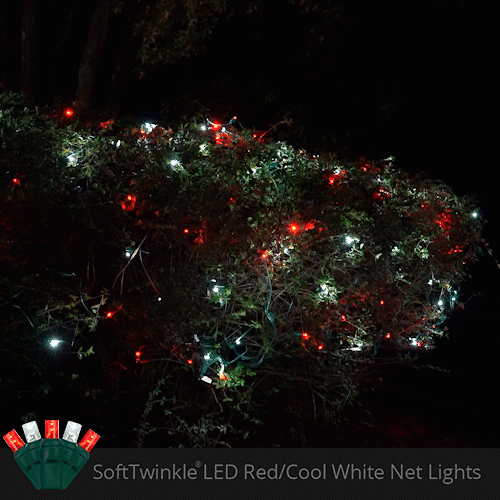 Red and cool White 70 LED 5mm SoftTwinkle Christmas net lights on green wire