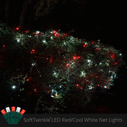 Red and cool White 70 LED 5mm SoftTwinkle Christmas net lights on green wire