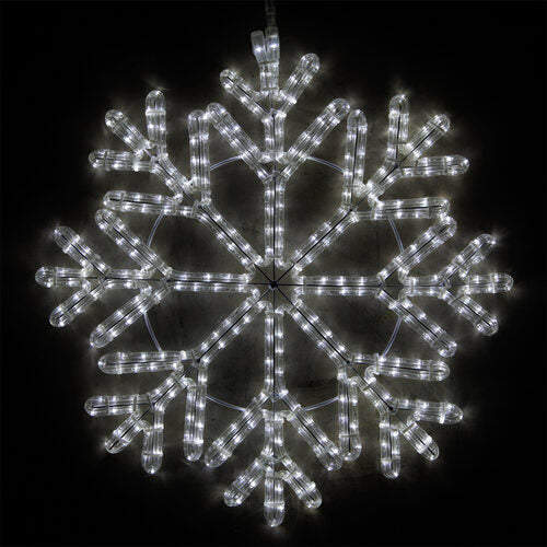 Wintergreen Lighting 24-inch 40-point cool white LED snowflake motif with 380 steady lights and intricate branching design on black background.